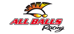 logo All Balls Racing
