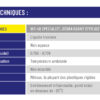 SPECIALIST Dégraissant 500 ml - WD-40