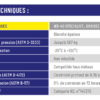 SPECIALIST Graisse Blanche au Lithium 400 ml - WD-40