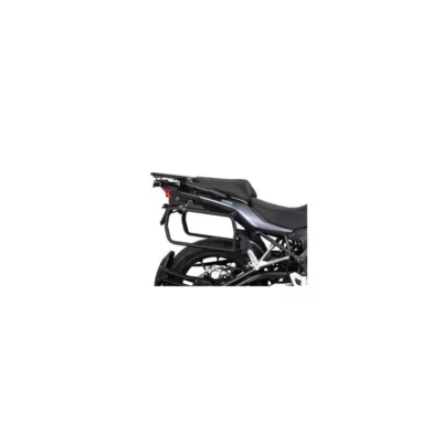 Support 4P SYSTEM QJMOTOR SRT 550 '22 - SHAD